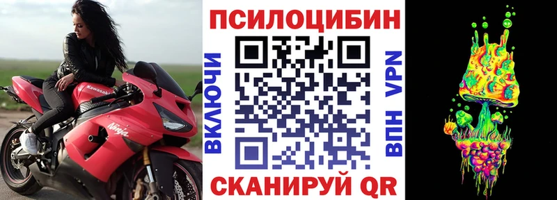Псилоцибиновые грибы прущие грибы  Нерехта 